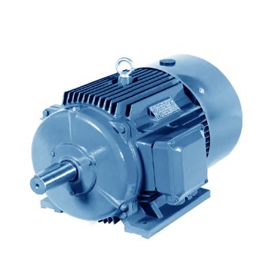 China YE2-160L-2 18.5KW 2940RPM AC Brushless Electric Motor 3 Phase Totally Enclosed Induction for sale