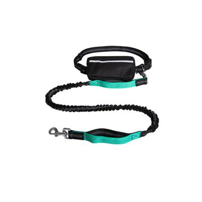 China Easily Thoughtful Cost Effective Store And Access Smartphone Green Pet Walking Leash for sale