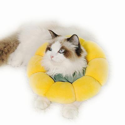 China Custom Adjustable Cat E-Collar Neck Cone After Surgery Pet Cat Recovery Soft For Cats Injure Healing Tethers Protective Collar for sale