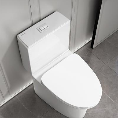 China Modern Sanitary Ware Bedroom Modern Pedestals Filter White Water Saving WC Floor Standing Ceramic Toilet for sale