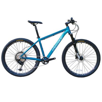 China Carbon fiber 11 steel mountain bikes 12 20 22 24 speed bisicletas with shimano groupset set for sale