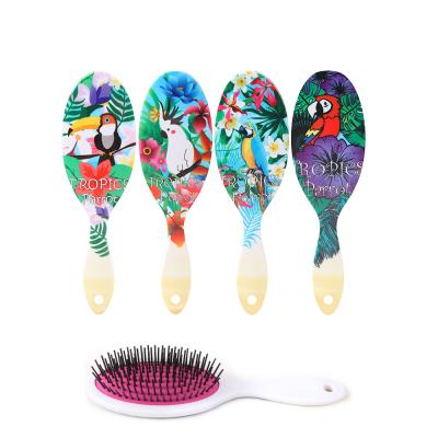 China Cushion Cartoon Parrot Print Hair Detangler Comb Curly Haircare Massage Scalp Teeth for sale