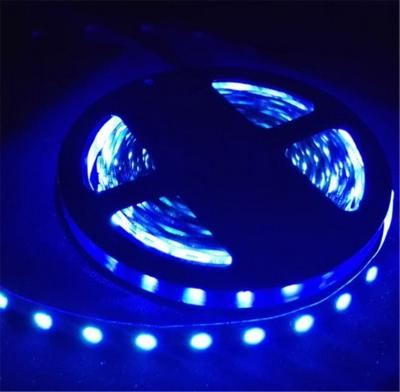 China Office Factory Supplier CE ROHS SMD2835 60LEDS Blue Led Strip Lights for sale