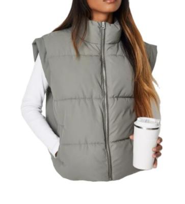 China 2021 Viable Design OEM Plus Size Polyester Cotton Zipper Sleeveless Oversized Padded Stripper Jacket For Women for sale