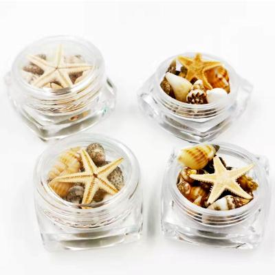 China Mini Conch Shells Starfish For Natural Conch Shells ND605 Nail Art Decoration for sale