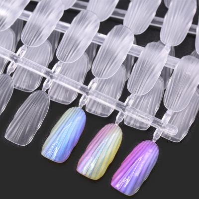 China Design NT13 240 PCS/set Size Shell Shape Nail Tips For Gel Color Card One Full Practice Decoration for sale