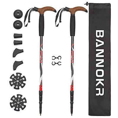 China Best Price Durable Stretch Mountaineering Walking Stick Superior Plastic and Cork Grip Anti Shock for sale