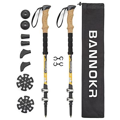 China Hot Sale 2021 Carbon Fiber Ultralight Telescopic Pole Trekking Pole Fast Lock Increasing Stick With Carry Bag Walking Stick for sale