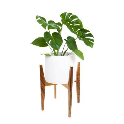 China Mid Century Adjustable Indoor Plant Stand - Modern Solid Wood Indoor Plant Stand - Planter Fits Medium and Large Class 10 12 Inch Pots for sale