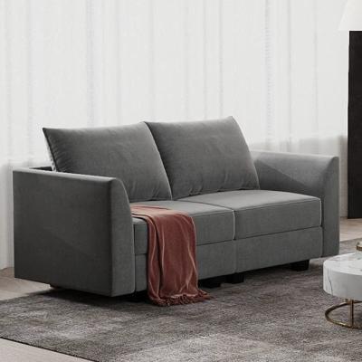 China Other Modern Sofa Living Room Velvet Fabric For Sofa Couch Two Seats for sale