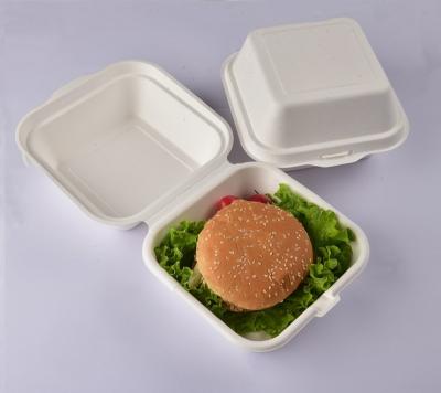 China Disposable Food Container Disposable Clamshell Hamburger Food Container Takeout Packaging for sale