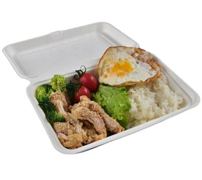 China Disposable Eco-friendly Biodegradable Sugar Cane Food Container Paper Food Bowl for sale