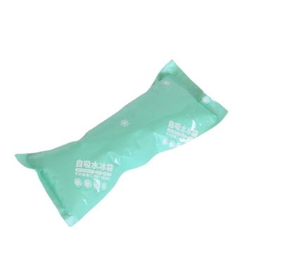 China Hot Selling Absorbed Water Dry Ice Pack Water Dry Ice Pack Sheet Ice Cube Pack for sale