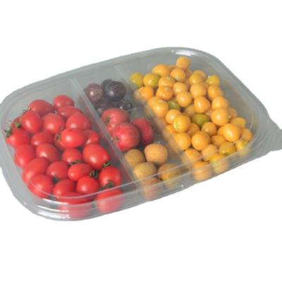 China Large Disposable Plastic Storage Containers Fruit Dry Dispenser Rack Snack Food Plastic Divided Packing Container for sale