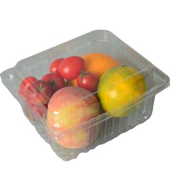 China Disposable/custom logo printed custom clear 125g fruit packing box/clamshell container 20 blister holes/blueberry plastic clamshell with printed logo for sale