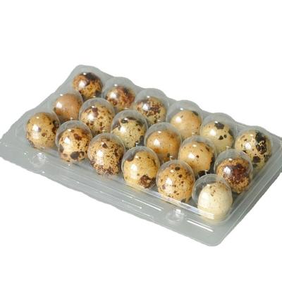 China China OEM Stylish Folding Quail Egg Cartons For Sale, Blister Package Type 12, Disposable Plastic PET/PVC Egg Tray for sale