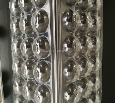 China 24 Holes Recyclable Disposable Clear Plastic Quail Egg Trays for sale