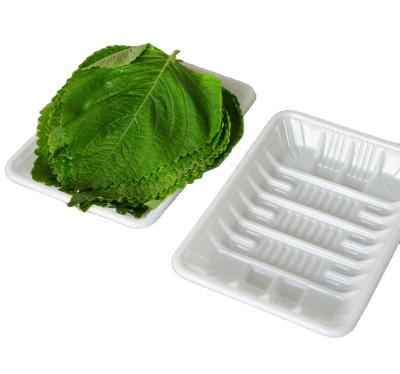 China Disposable Thick Plastic Food Grade PP Mushroom Fruit Packaging Tray for sale