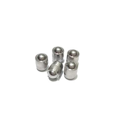 China M3 M12 SS304 3016 Stainless Steel Good Price Spring Loaded Press-Fit Ball Plunger for sale