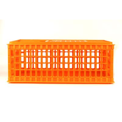 China Folding Plastic Farms Plastic Crate Poultry Cage Poultry Transport Crate for sale