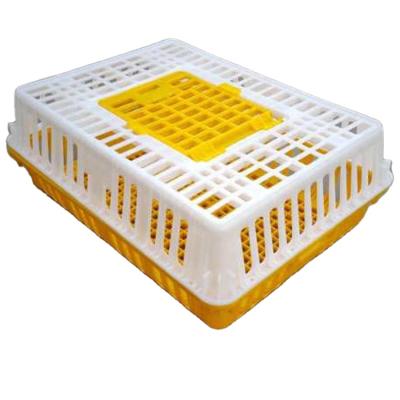 China Farms Best Quality Poultry Plastic Transport Crate Chicken Chick Turnover Box Cage for sale