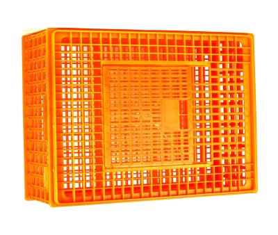 China Farms Live Chicken Transport Cage Poultry Plastic Transport Crate for sale