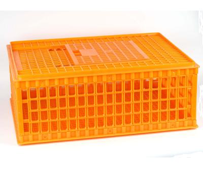 China Farms Best Quality Poultry Transport Crate Plastic Chicken Crate Plastic Chicken Crate for sale