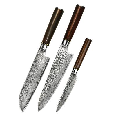 China Viable Product vg10 Full Tang Damascus Chef Knife Set from Amazon for sale