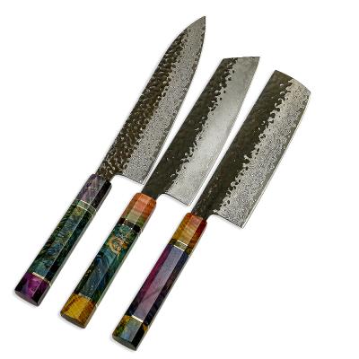 China 3 Pcs Sustainable Damascus VG 10 Steel Kitchen Knife Set With Stabilized Wood Handle Chef Knife for sale