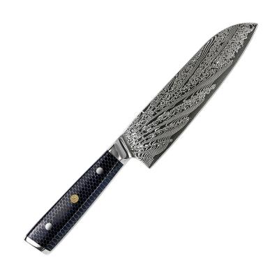 China 67 Viable Natural Layers of Damascus Begonia Pattern Kitchen Knife Santoku Steel for sale