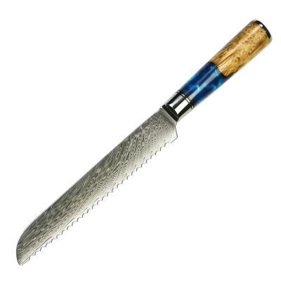 China 8 Inch Viable 67 Layers Damascus Chef Japanese Kitchen Knife for sale