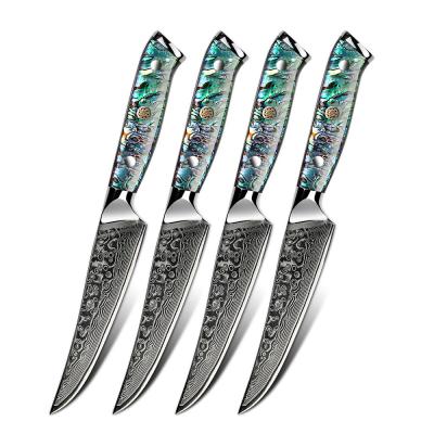 China Viable Professional Kitchen Japanese Steak Knife From Manufacturer VG10 Damascus for sale