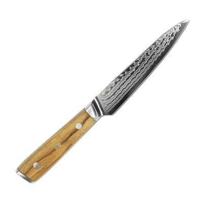 China 2021 Sharpness High Quality AUS 10 Damascus Disposable Steel Serving Kitchen Knives for sale