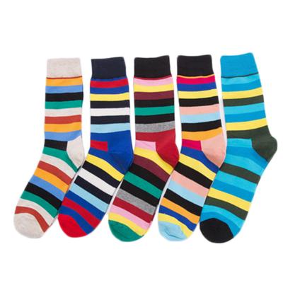 China QUICK DRY ready to ship striped men's stockings minimum combed cotton socks fashion jacquard socks for sale