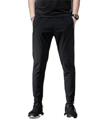 China Anti-Wrinkle Ever Shape Mens Gym Wear Quick Dry High Quality Sports Workout Workout Cargo Pants for sale