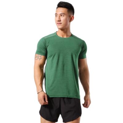 China Anti-Wrinkle Fashion Men's Gym Wear Fitness Clothing Shorts Ever Sleeve Quick Dry T-Shirt for sale