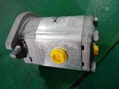 China B220501000269 Caspar Hydraulic Gear Pump MOTOR PLM20.20R5-48WC-LTG/TG-N FS-D For PM Concrete Pump Truck for sale