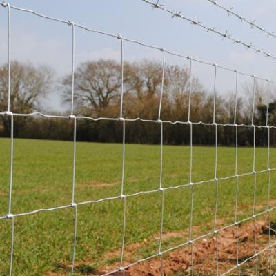 China Easily Assembled 8ft 3ft 4ft 5ft 6ft 7ft Galvanized Field Fence Botswana for sale