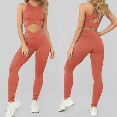 China Breathable Women Fitness Wear Gym Exercise Clothes Two Piece Activity Clothes Elastic Fabric Clothing Ladies Fitted Equipments for sale