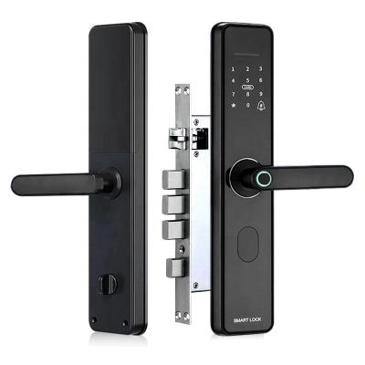 China Wholesale English App Control Intelligent Electronic Door Handle Voice Lock Fingerprint Smart Door Lock for sale