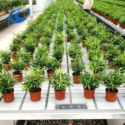 China Low cost agriculture greenhouse mobile flood seedlings/table/rolling trays (ABS superior material) for sale