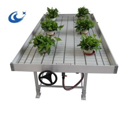 China Agriculture planting tray-waterbed high quality seedling system / flood table plastic rolling benches for sale