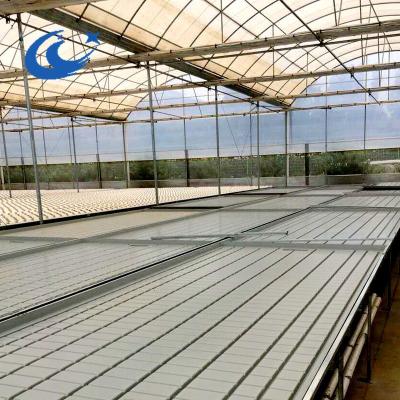 China Clear Movable Low Cost Flood And Drain Greenhouse Seedling Crib Bed for sale