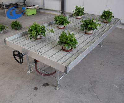 China Vegetable Fruits Flowers Hydroponic Grow System 4x8 Flood Nursery Trays Flood Table for sale