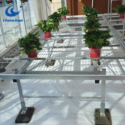 China Agriculture Planting Low Cost Hot Galvanized Wire Mesh Greenhouse Rolling Bench In America for sale