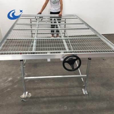 China Agriculture Planting Economical And Practical Wire Mesh Greenhouse Rolling Table /Bench for sale