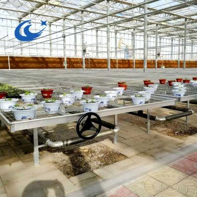 China Low Cost Metal Benches Agricultural Seedling Green Benches For Sale for sale