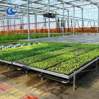 China Low Cost Welded Wire Mesh For Greenhouse Benches China Supplier for sale