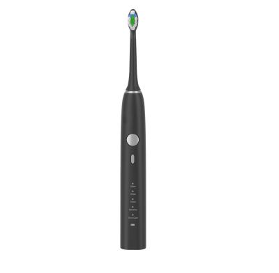 China Private Label 5 Models Wireless Inductive Charging Rechargeable Automatic Electric Toothbrush Sonic Radio Led Electric Toothbrush for sale