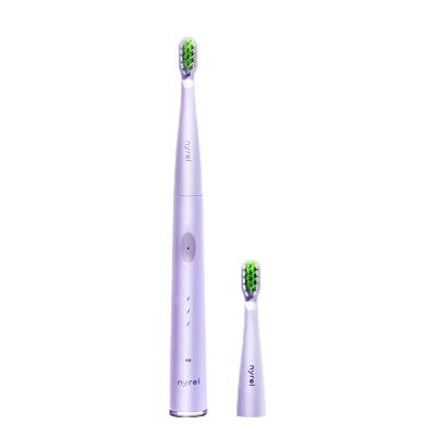 China Dupont Best Budget Toothbrush Regular Extra Soft Electric Toothbrush For Sensitive Teeth for sale